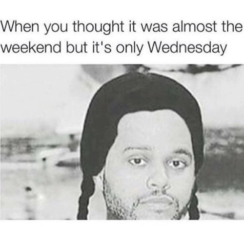 25 Best Memes About the Weeknd's Hair!