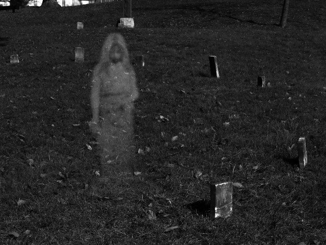 Petrifying in pink

A group of friends were at a graveyard on Halloween (of course). It was behind a building that had been the location of several failed restaurants, and at the time it was unoccupied. Still, the lights were on and there was a woman in a pink dress staring at the group through the window.

The kids hauled ass, and the lady followed from window to window, still watching them. It appeared that she was gliding from space to space instead of walking or running. Even after running down an area that had no windows, she was standing at the next set of windows by the time they got there, still watching.

They never went back.