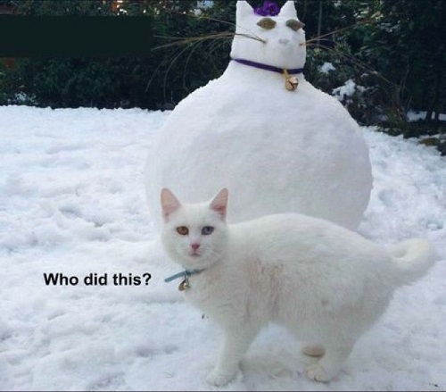 18 Most Funny AF Memes About the Snow!