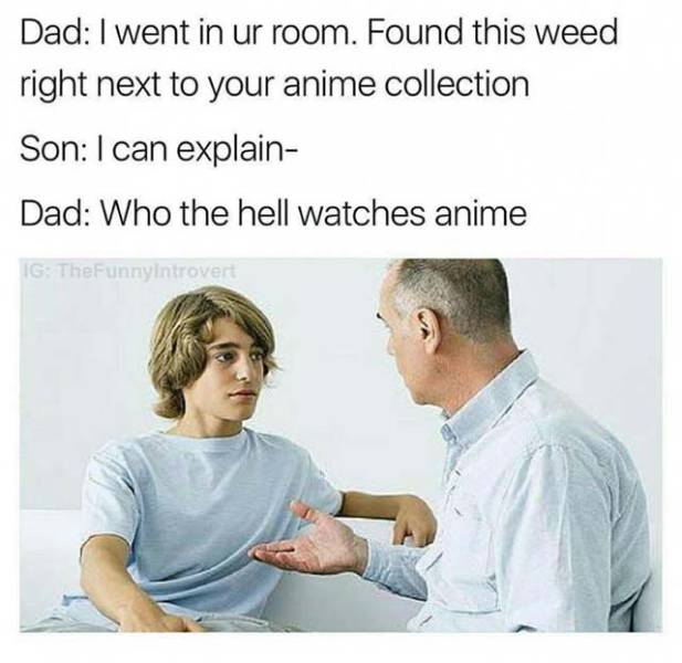 memes- father and teen - Dad I went in ur room. Found this weed right next to your anime collection Son I can explain Dad Who the hell watches anime Ig TheFunnyIntrovert