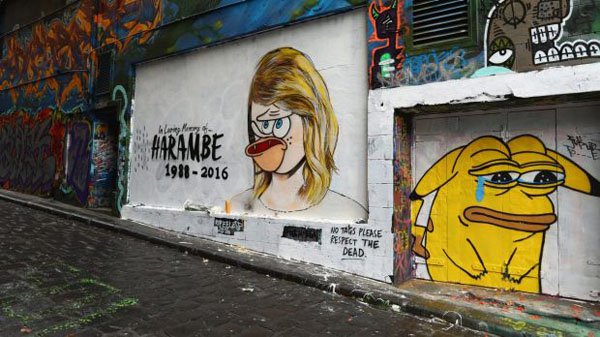 22 Times Austrailia's Street Art Just Killed It!