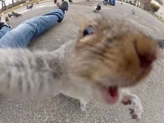 38 People Who Have The Best Selfie Game!