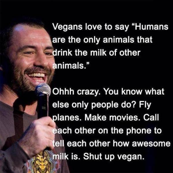 joe rogan on vegans - Vegans love to say "Humans are the only animals that drink the milk of other animals." Ohhh crazy. You know what else only people do? Fly planes. Make movies. Call each other on the phone to tell each other how awesome milk is. Shut 