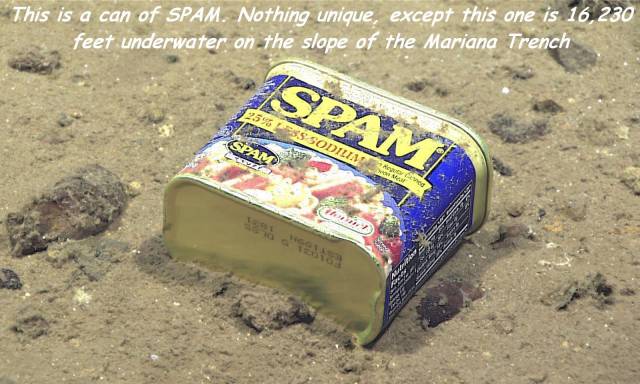 mariana trench pollution - This is a can of Spam. Nothing unique, except this one is 16,230 feet underwater on the slope of the Mariana Trench Ispam 39595S Sodila Spam