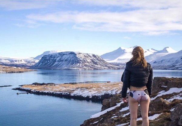 Milky the explorer  freezing his udders off in the Icelandic Tundra