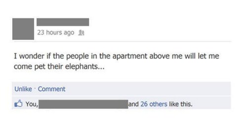 Post on facebook joking that the upstairs neighbors must have elephants.