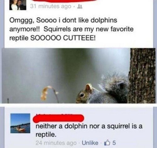 48 Facebook Wins and Fails That Are Next Level