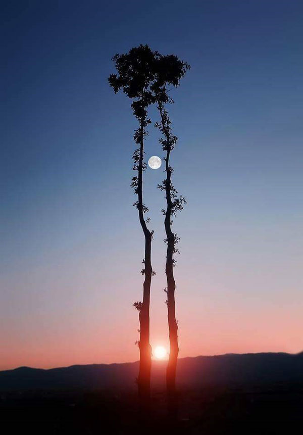 moon and sun at same time - w
