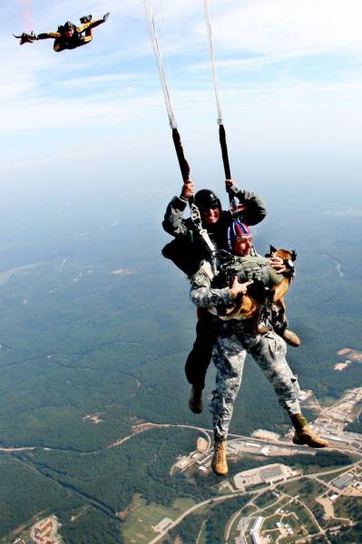 paratrooper dogs