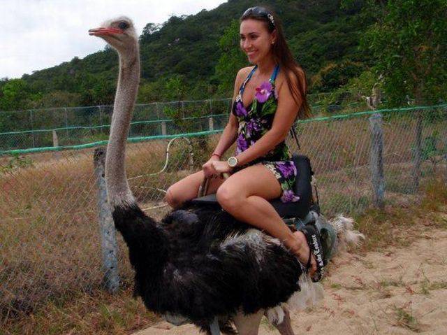 girl ostrich