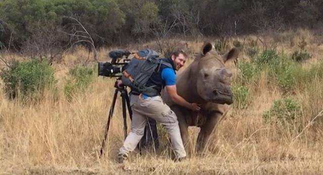 wildlife cameraman