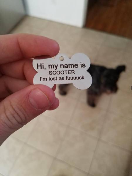 scooter dog tag - Hi, my name is Scooter I'm lost as fuuuuck