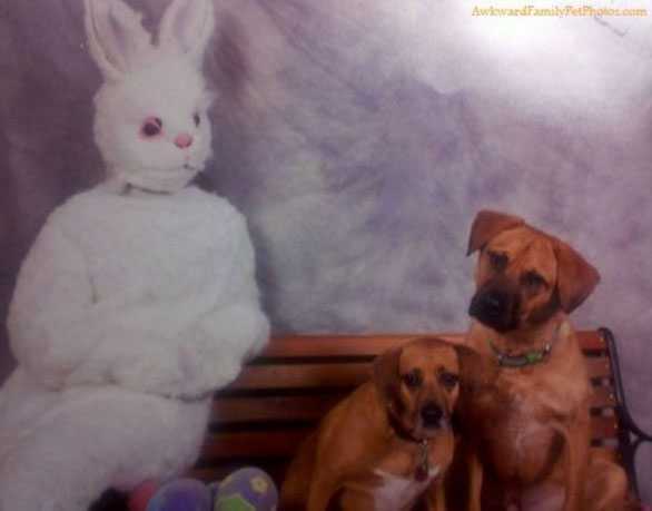The 20 Most Awkward Easter Family Photos Ever