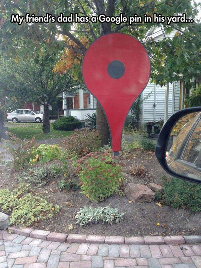 tree - My friend's dad has a Google pin in his yard..