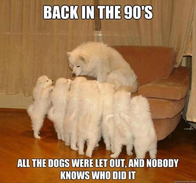 karate kyle meme - Back In The 90'S All The Dogs Were Let Out, And Nobody Knows Who Did It