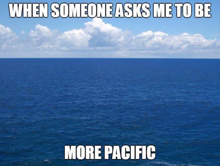 bishnoi attitude - When Someone Asks Me To Be More Pacific