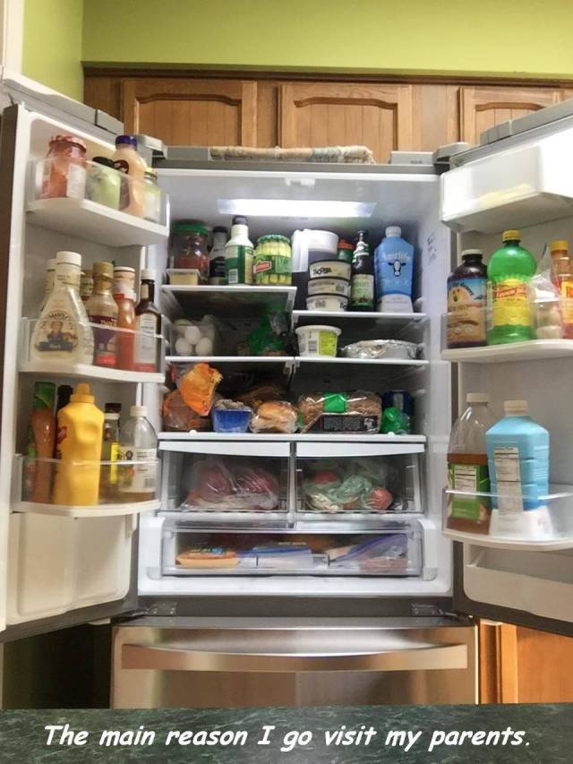 refrigerator - The main reason I go visit my parents.