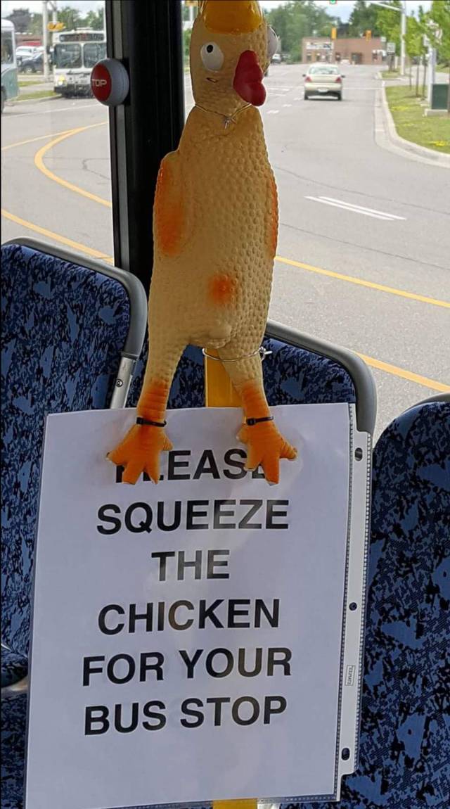 stop bus button - L.Easa Squeeze The Chicken For Your Bus Stop