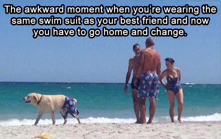 Man wearing the same swimming shorts as the dog.