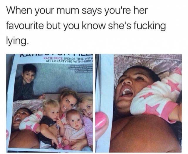 40 Funniest Photos Have Just Arrived