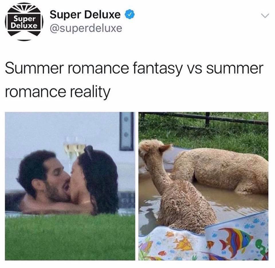 Funny meme about how you imagined the Summer romance VS the reality.