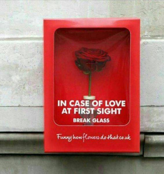 cool pic valentine's day ads - In Case Of Love At First Sight Break Glass Funny how flowers do that.co.uk