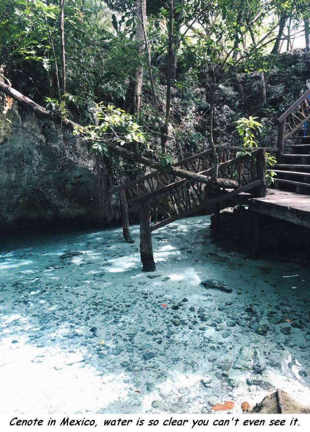 cool pic nature - Es Cenote in Mexico, water is so clear you can't even see it.