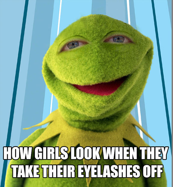 kermit the frog without eyelashes - How Girls Look When They Take Their Eyelashes Off