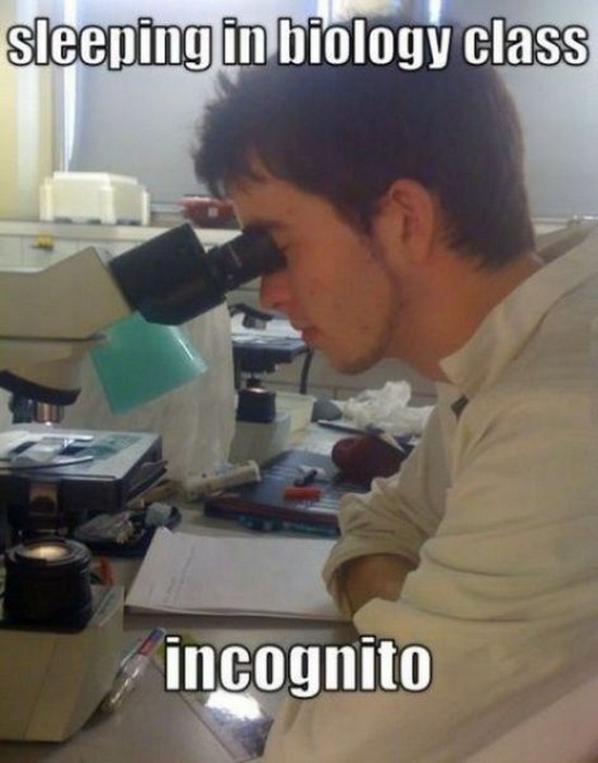 funny biology class - sleeping in biology class incognito