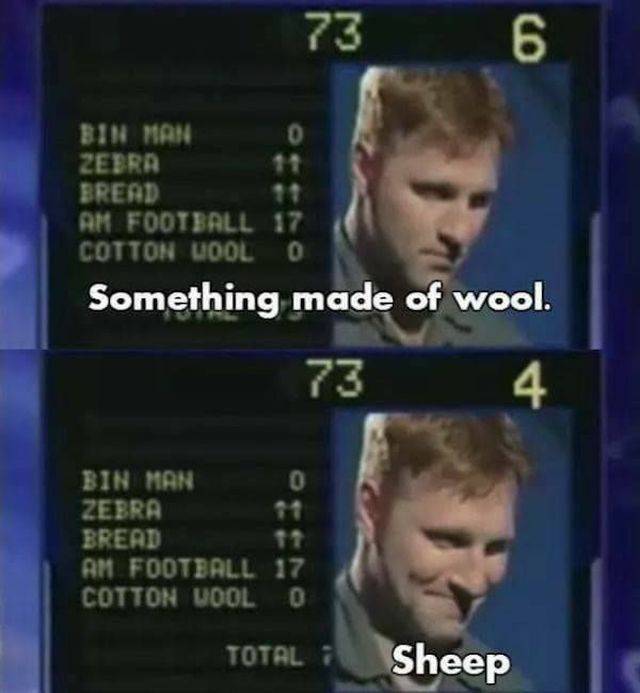 worst game show answers - 73 6 Bin Man Brend Am Football 17 Cotton Loolo Something made of wool. 73 Bin Man Zebra Bread Am Football 17 Cotton Uool O Total i Sheep