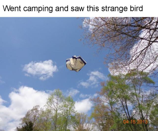 45 Reasons Not To Go Camping