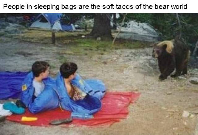 45 Reasons Not To Go Camping