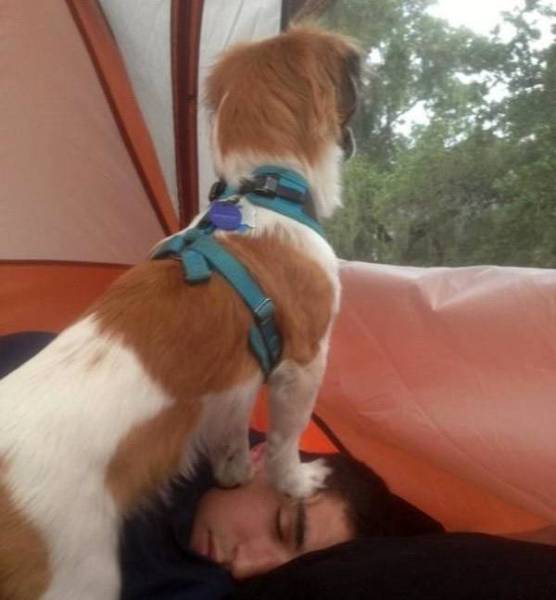 45 Reasons Not To Go Camping