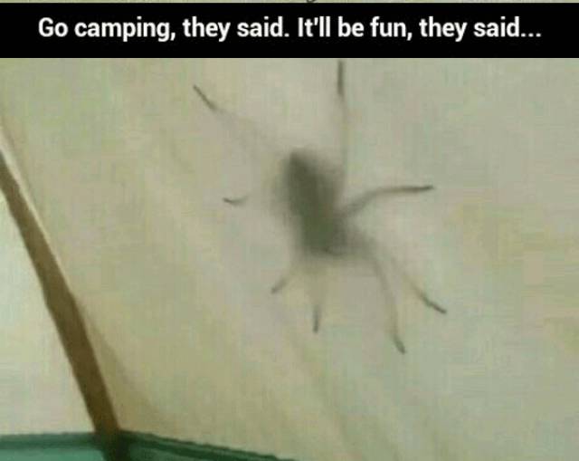 45 Reasons Not To Go Camping