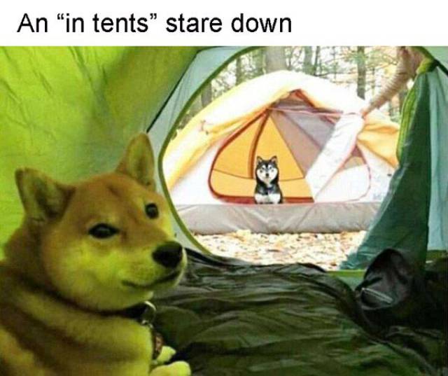 45 Reasons Not To Go Camping