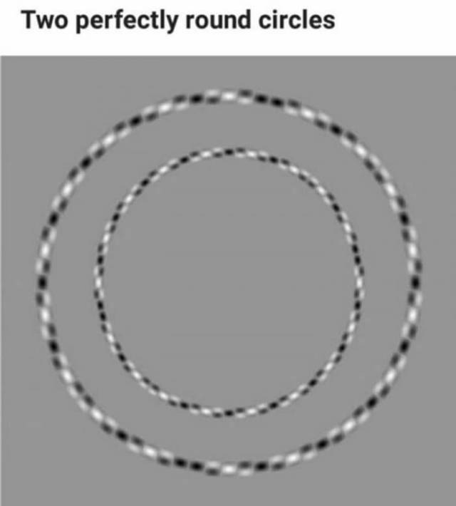 two circles optical illusion - Two perfectly round circles