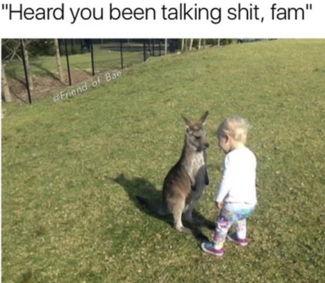 Kid and a joey kangaroo facing off