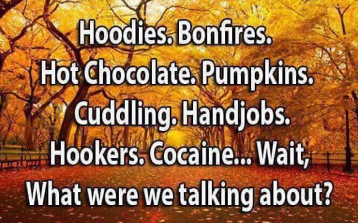 tree - Hoodies. Bonfires. Hot Chocolate. Pumpkins. Cuddling. Handjobs. Hookers. Cocaine... Wait, What were we talking about?