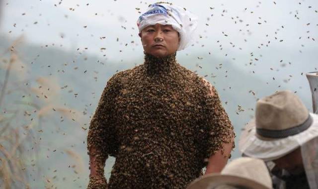 man wearing a suit of bees