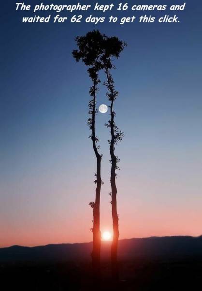 moon and sun at same time - The photographer kept 16 cameras and waited for 62 days to get this click.