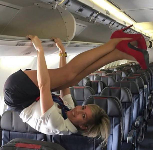 stewardess hot gif