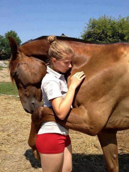 comforting a horse