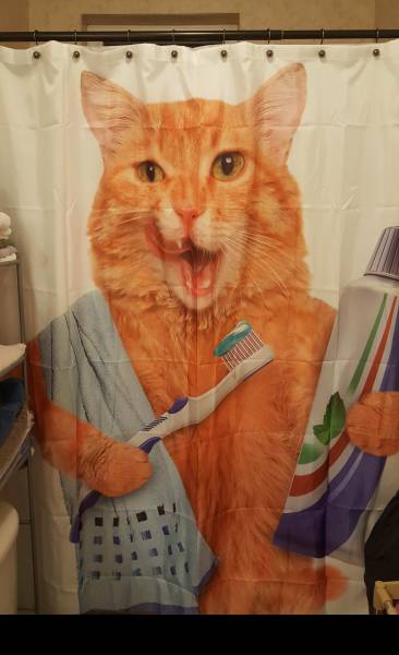 cat brushing teeth shower curtain