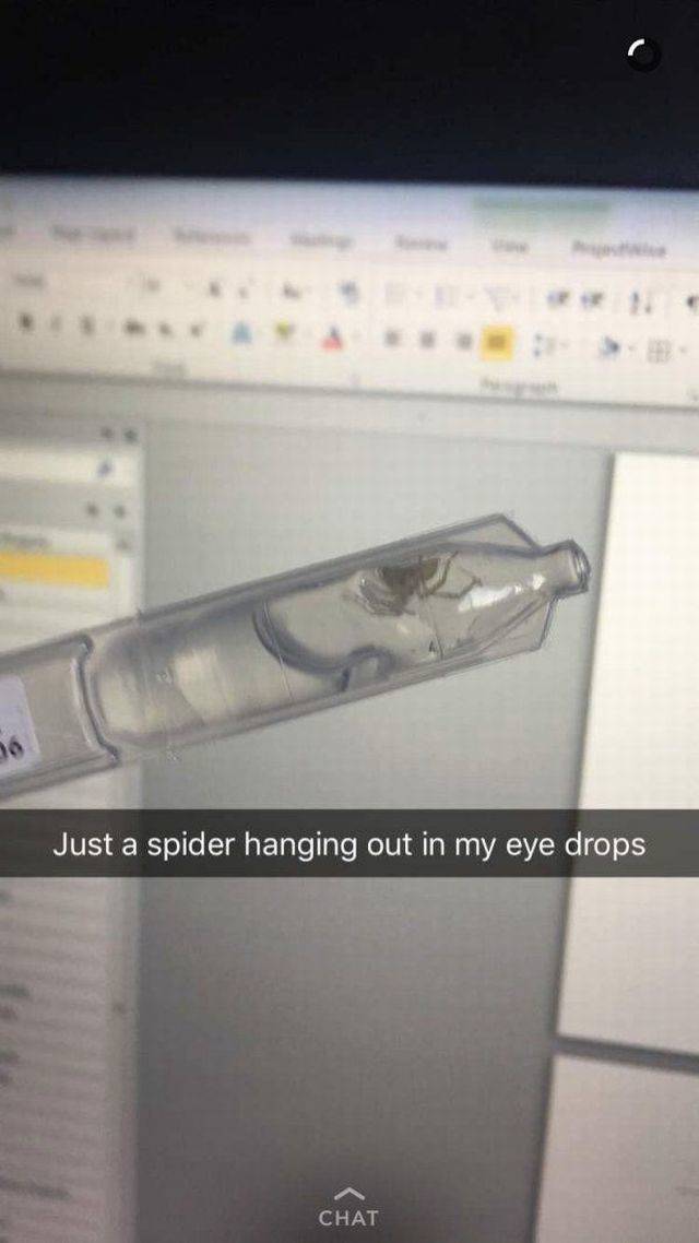 electronics - Just a spider hanging out in my eye drops Chat