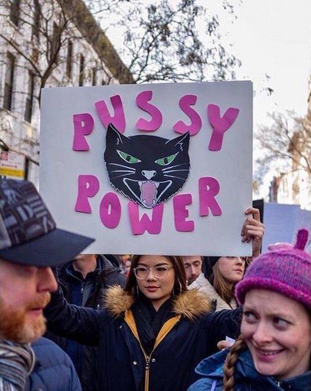 protest - Pssy Rover