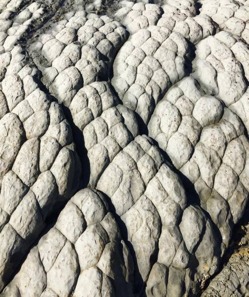 Stones that look like dragon skin