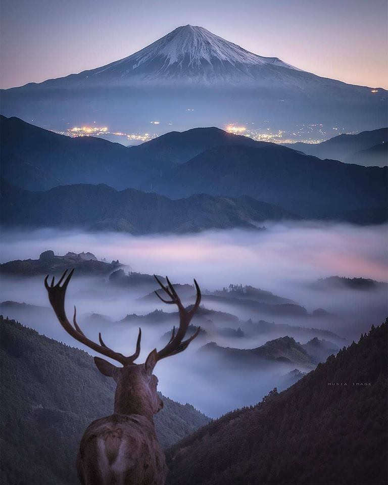 View from top is always worth it. Shimizu-ku, Japan.