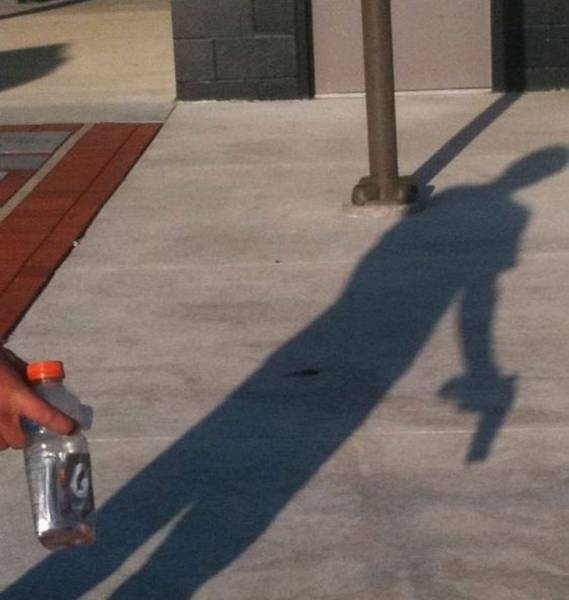 26 Times Natures Deceptive Beauty Appeared In The Shadows