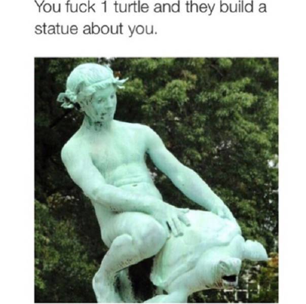 worcester ma turtle boy - You fuck 1 turtle and they build a statue about you.