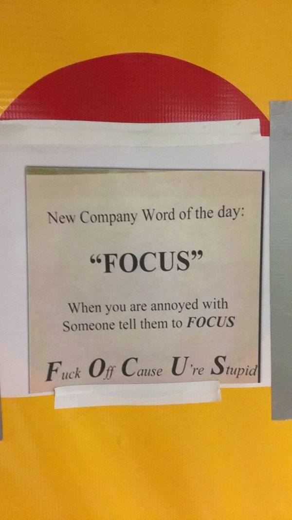 orange - New Company Word of the day Focus When you are annoyed with Someone tell them to Focus Fuck Of Cause U're Stupid